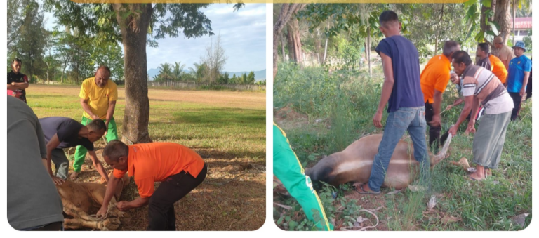 Semarak Idul Adha di SMAN Modal Bangsa, Qurban 5 Sapi dan 3 Kambing dibagikan ke Warga